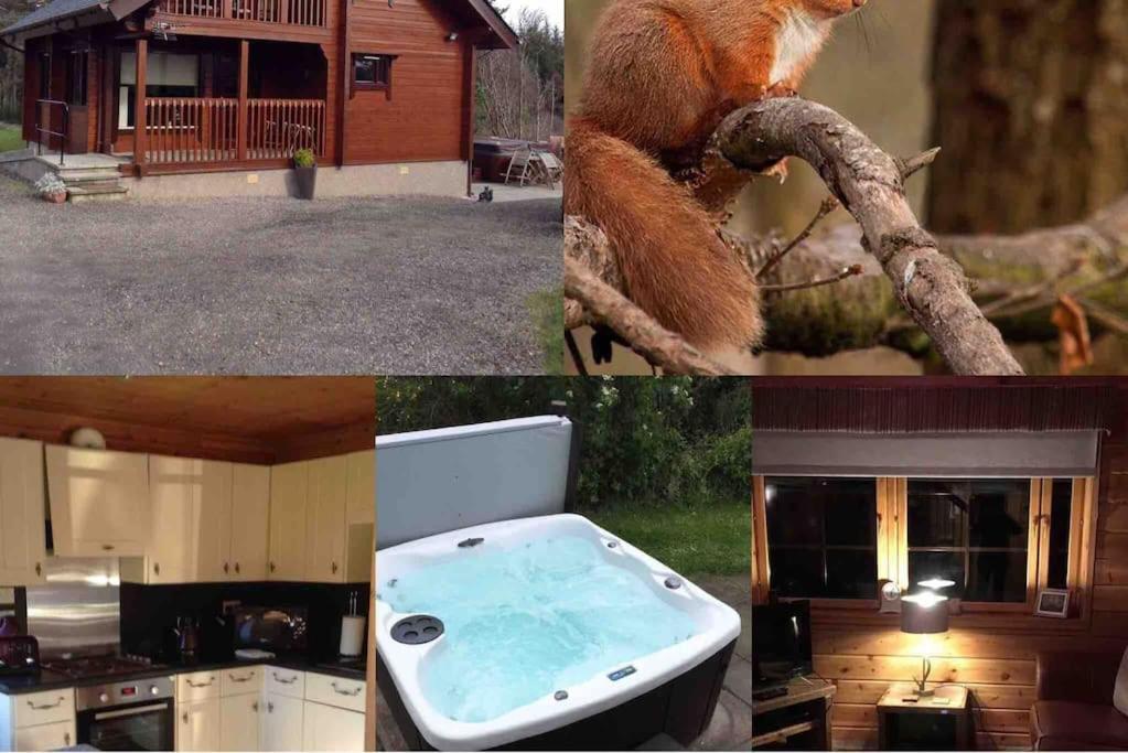 Red Squirrel Log Cabin With Hot Tub 基斯 外观 照片